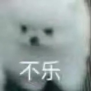 顾来顾去的全新白嫖频道